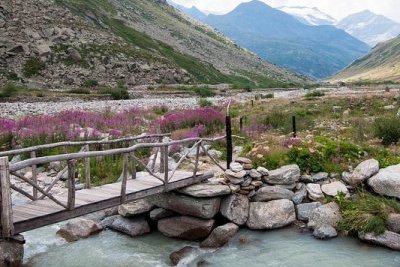 Wetlands in Vanoise National Park