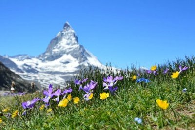 SEM'LES ALPES 